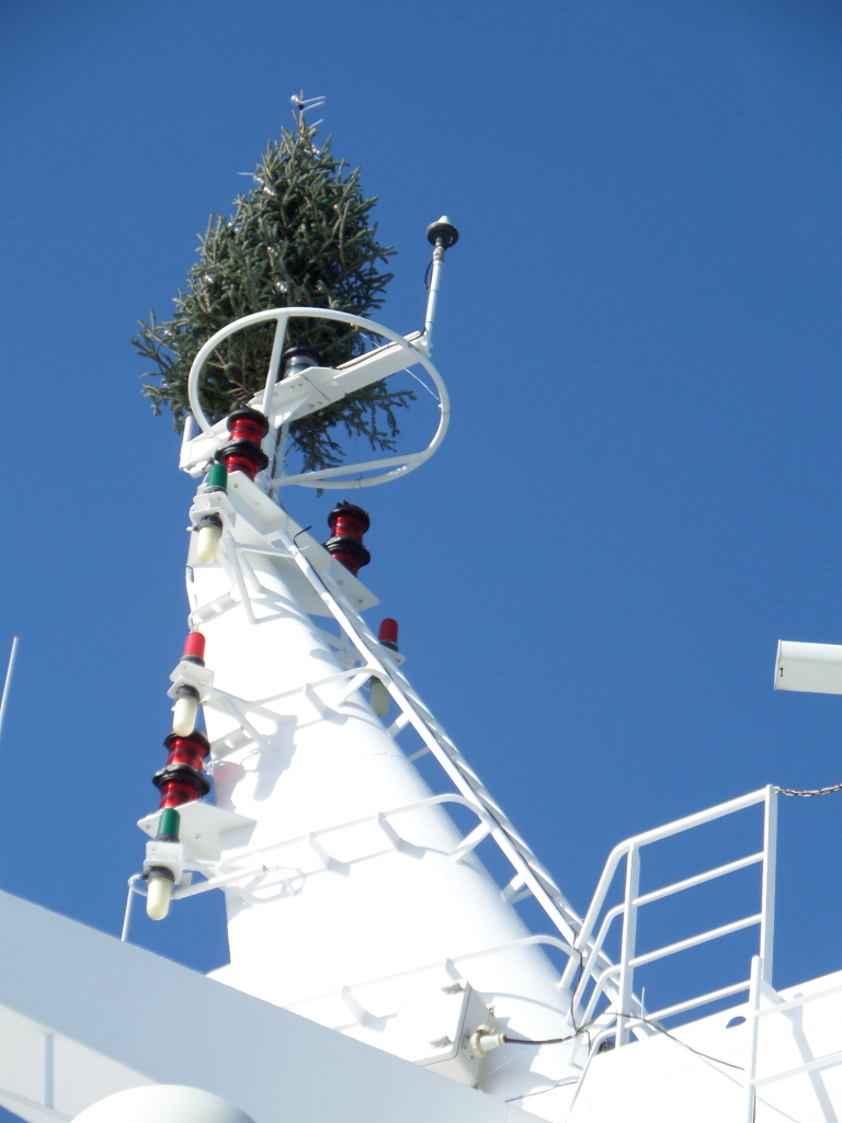 Unser Weihnachtsbaum am "Mast"