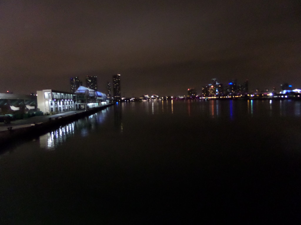 Port ob Miami by night